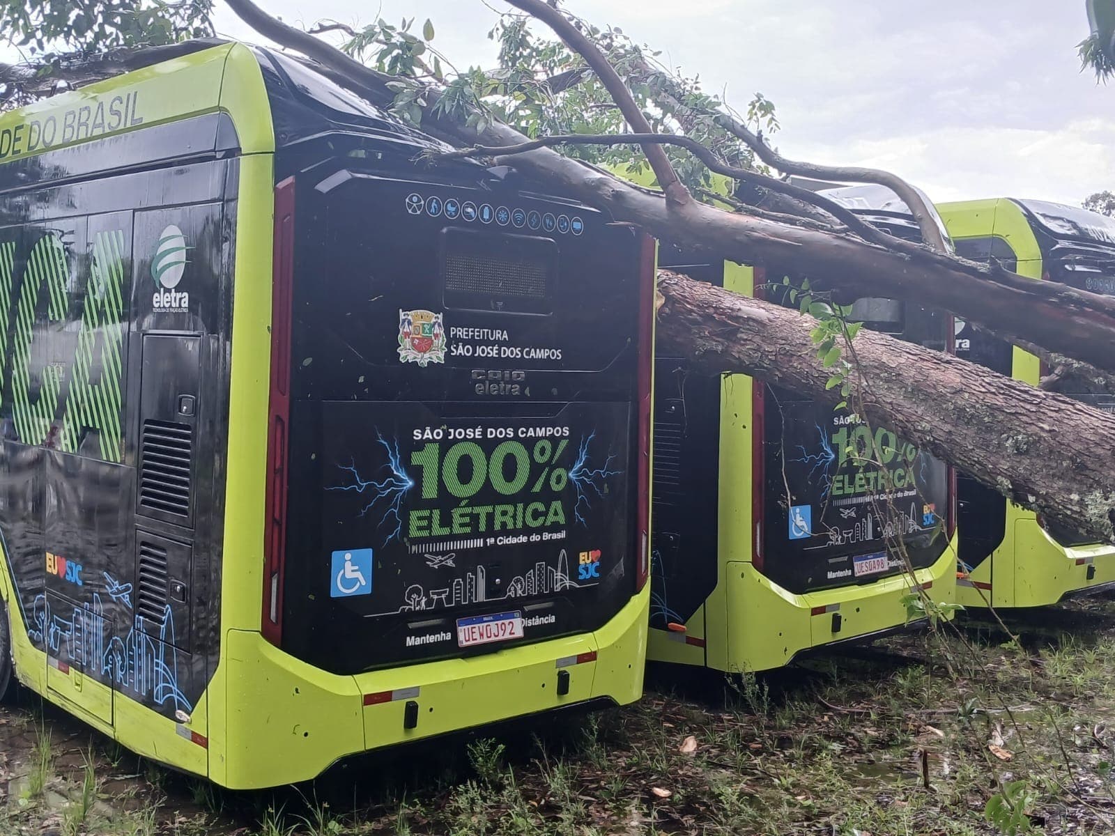 Temporal derruba árvores sobre três ônibus em São José dos Campos