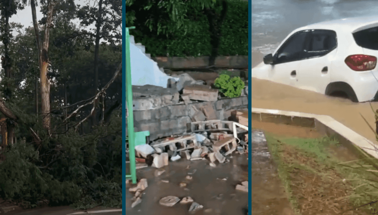 Alagamentos, queda de árvores e muros foram um dos resultados das chuvas