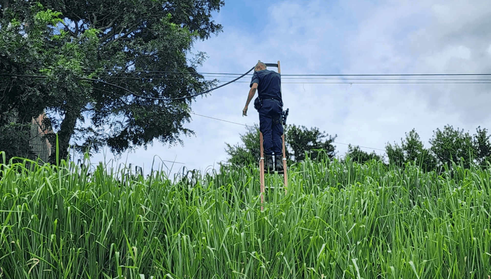 GCM de Limeira apreende veículo e 200 kg de fios após denúncia de furto
