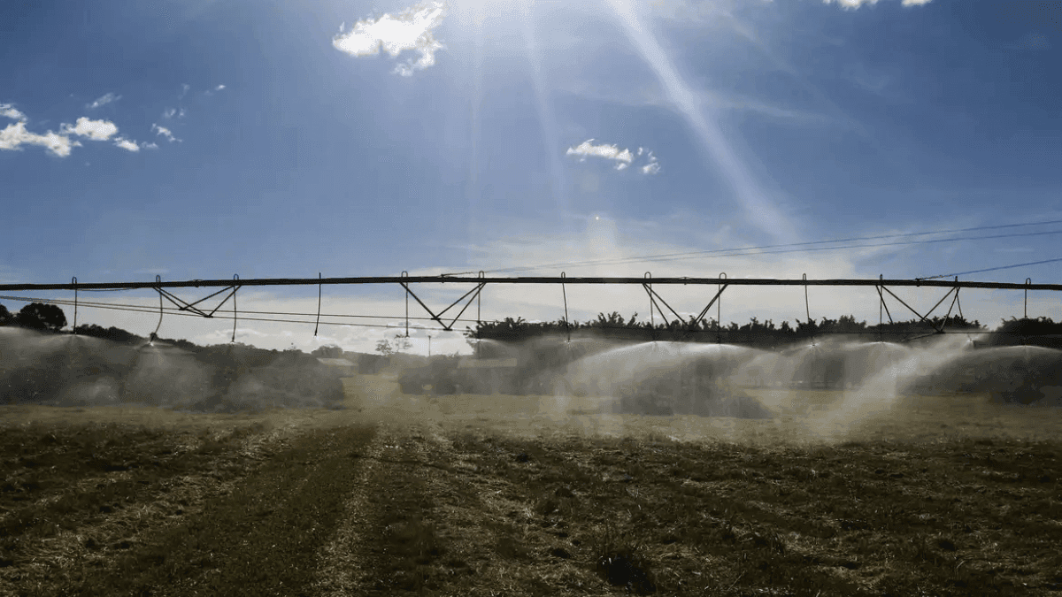 Malásia e Mianmar abrem mercados para produtos agropecuários brasileiros