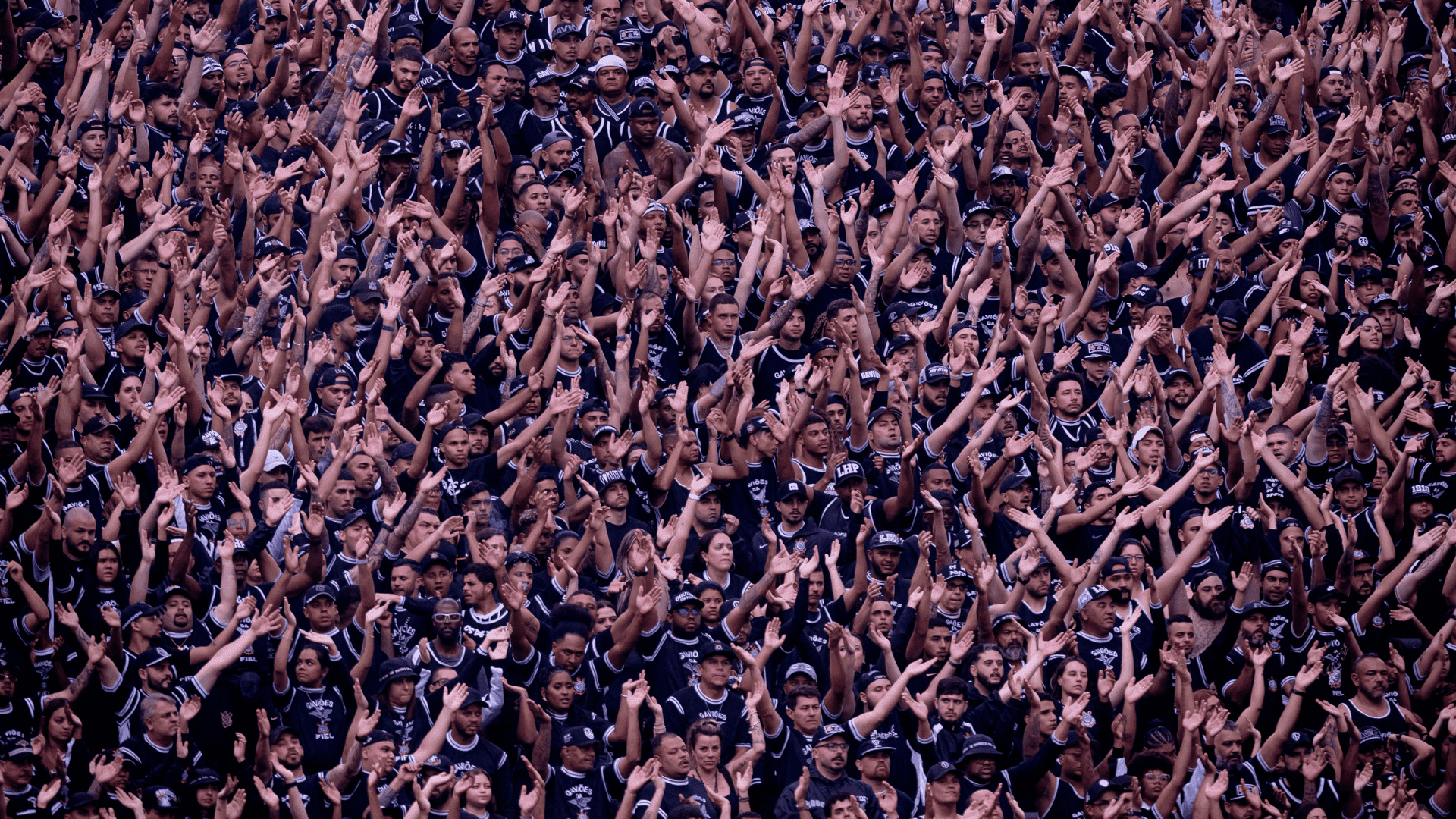 Gaviões da Fiel, torcida organizada do Corinthians