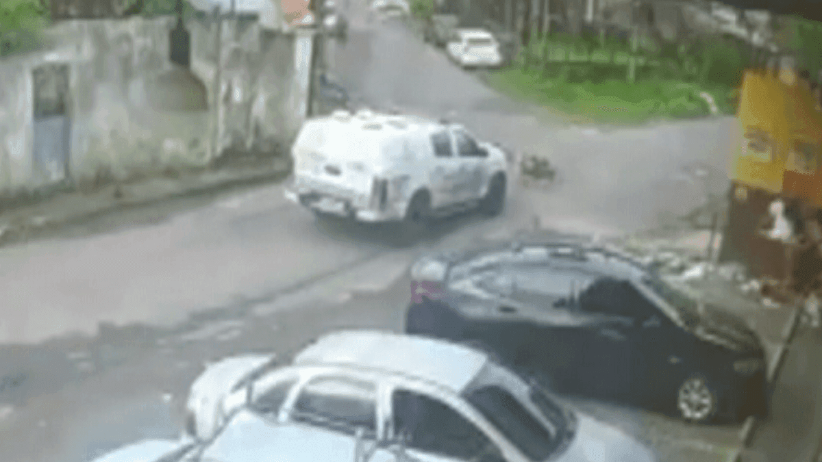 PMs são afastados após viatura atropelar cães em Manaus (AM)
