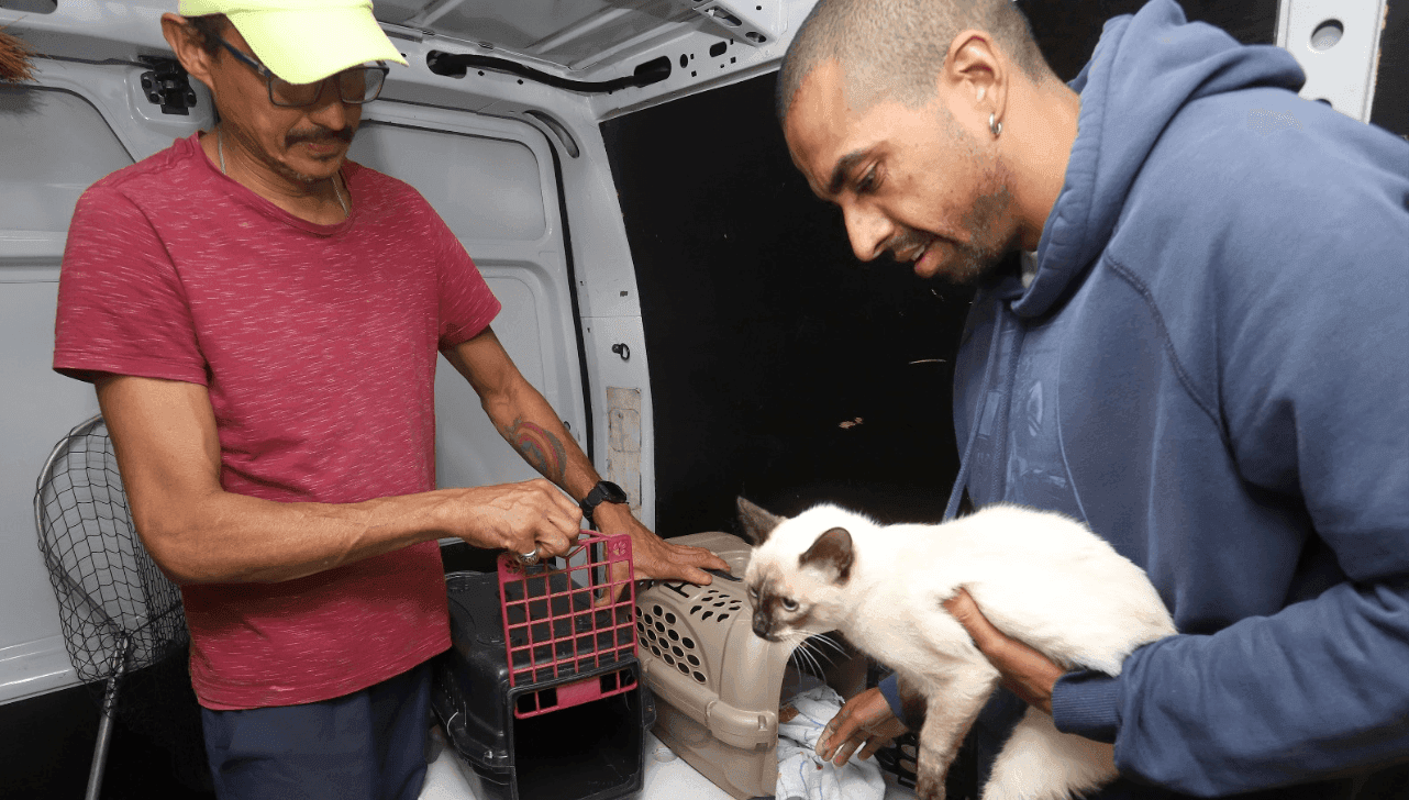 As 5 mil vagas desta edição já estão preenchidas; outras 5 mil vagas serão disponibilizadas em março