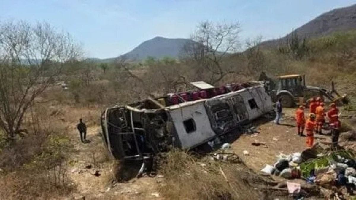 Ônibus envolvido em acidente que deixou 15 mortos era clandestino, diz ANTT