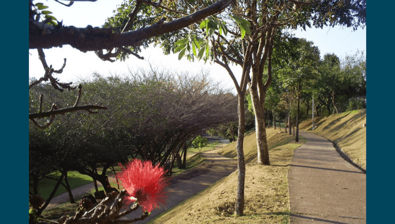 Atividades acontecem no Parque Carlos Alberto de Souza