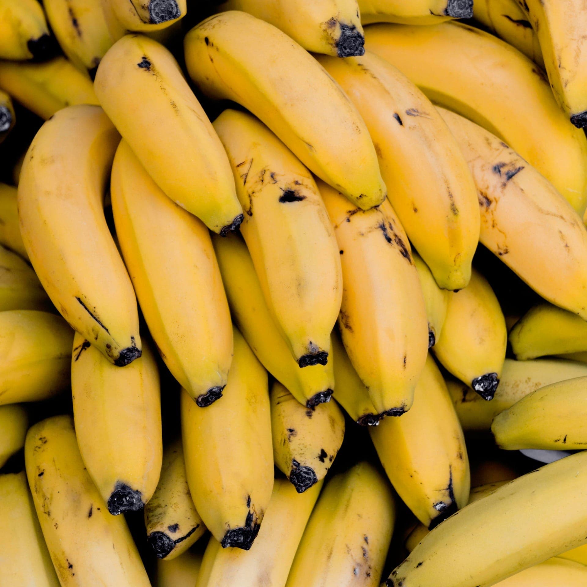 Preço de banana: safra deixa variedade nanica mais barata nos próximos meses