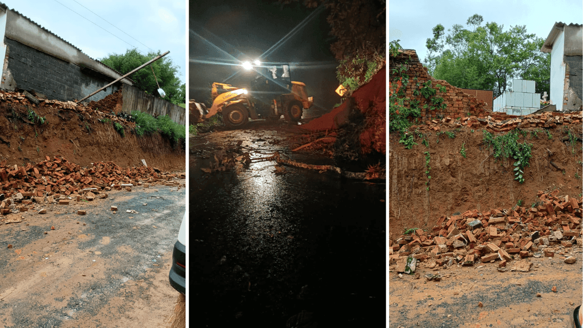 Chuvas intensas provocam quedas de árvores e interdições em Monteiro Lobato