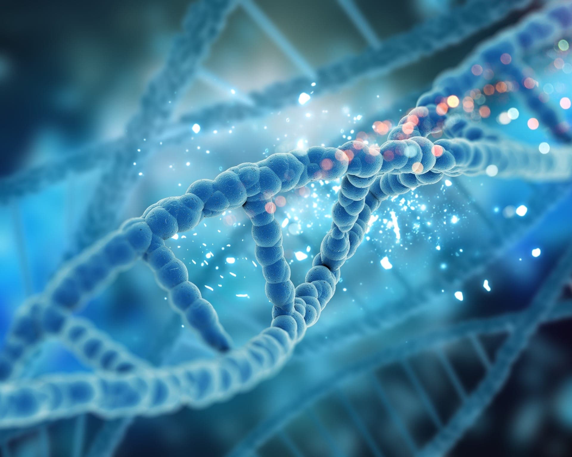 Modelos de RNA mostram estrutura capaz de gerar moldes e recriar sequências