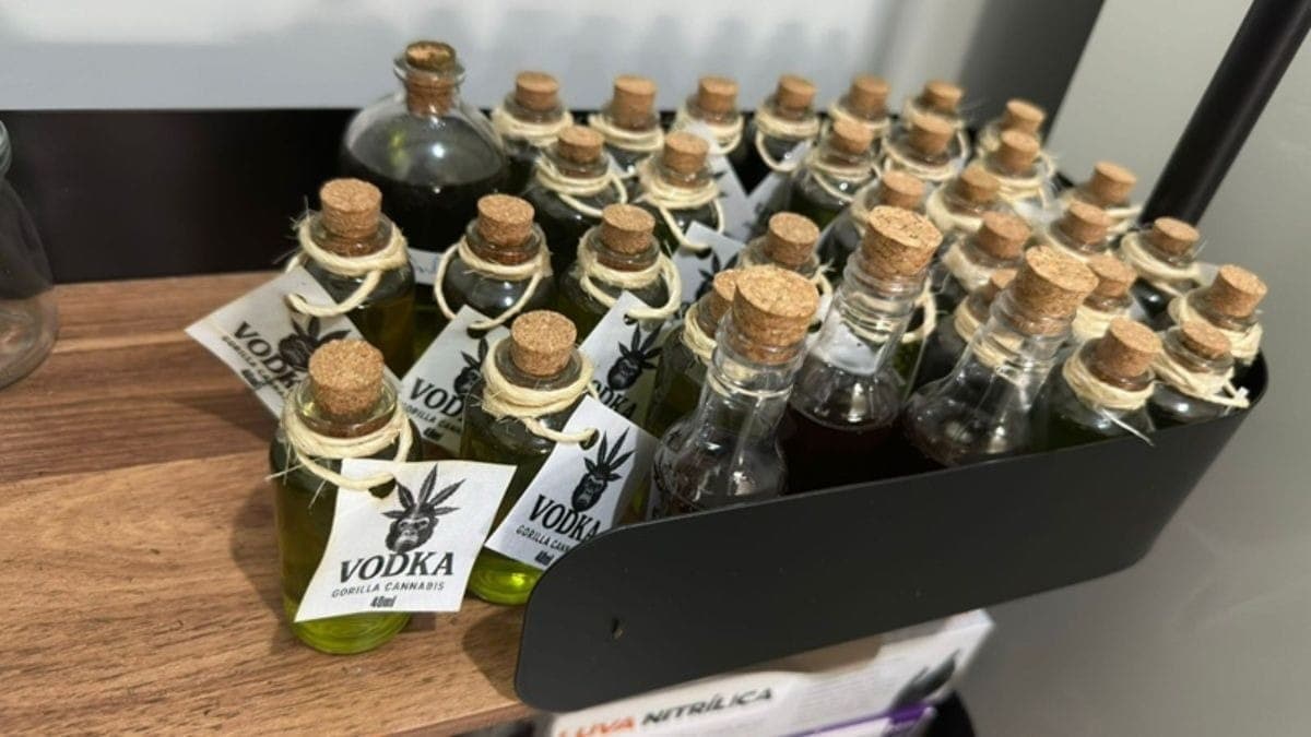 Polícia encontra laboratório de ‘maconha gourmet’ em SP