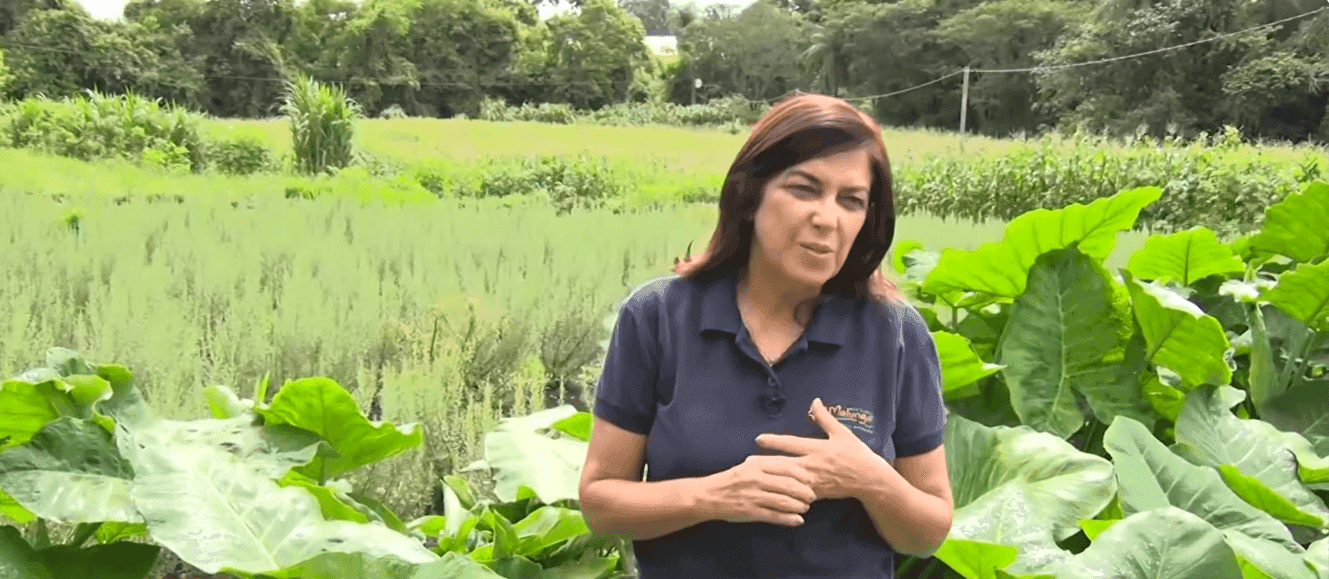 Engenheira agrônoma Clevane Ribeiro destaca a resistência das Pancs no campo