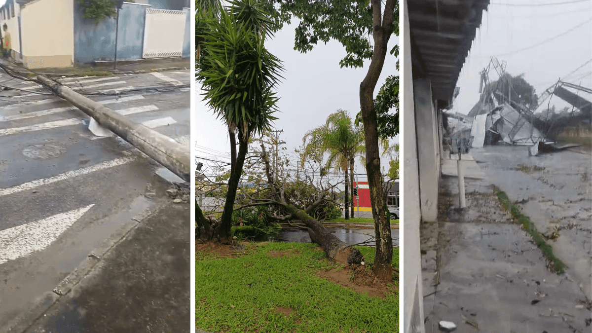 Tempestade causa queda de árvores e destelha estabelecimentos em Taubaté