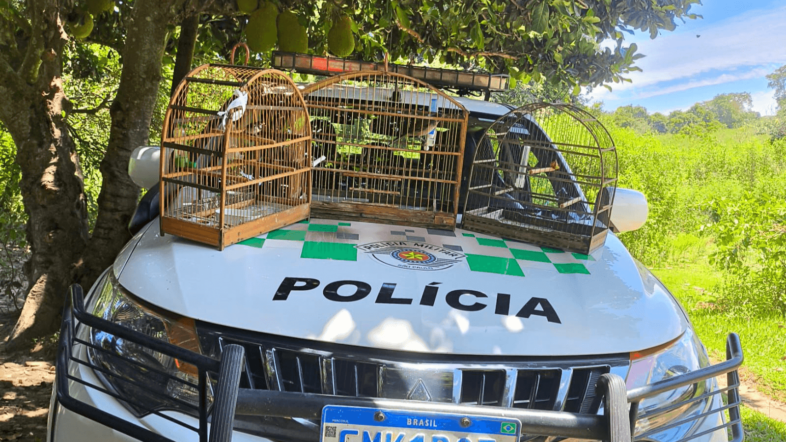 O suspeito foi multado em R$ 1,5 mil após o flagrante