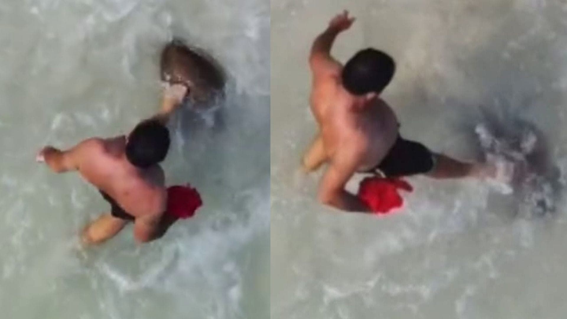 Homem aparece em vídeo chutando uma tartaruga em praia de Arraial do Cabo