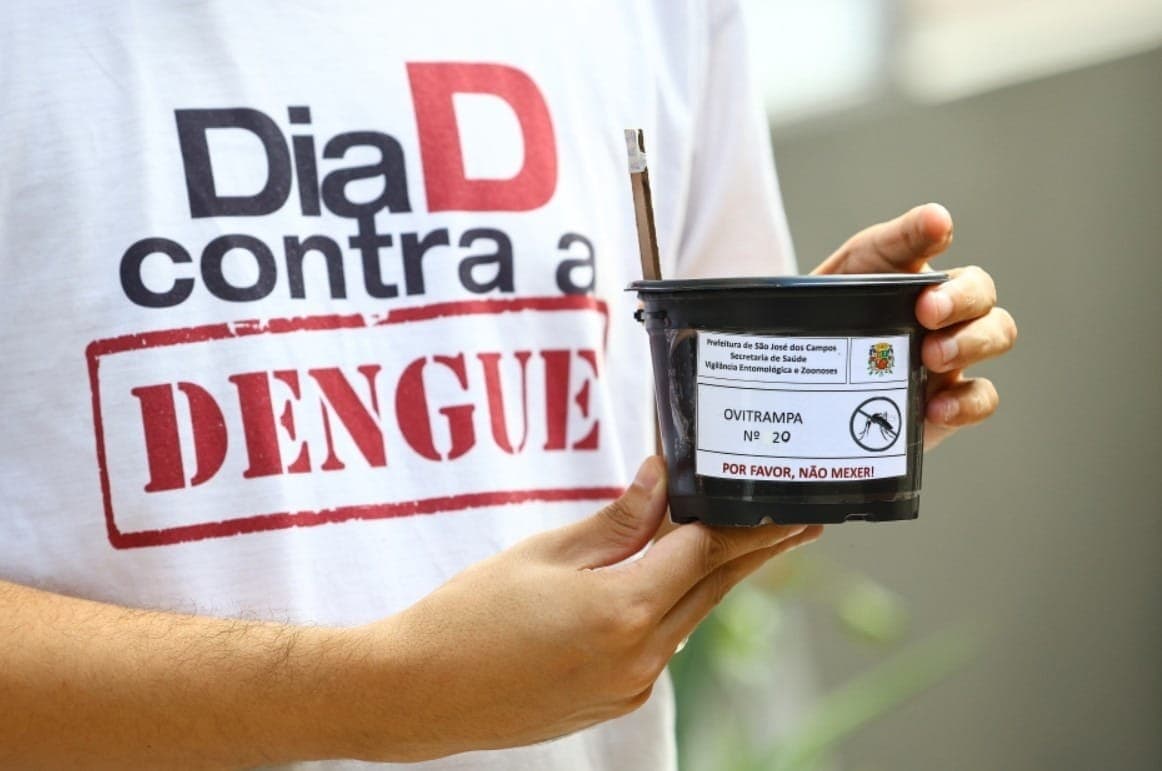 Ovitrampas ajudam a monitorar a presença do Aedes aegypti em regiões estratégicas