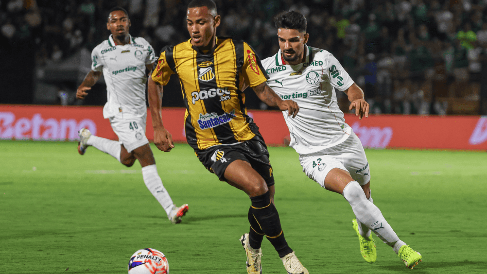 Palmeiras x Novorizontino