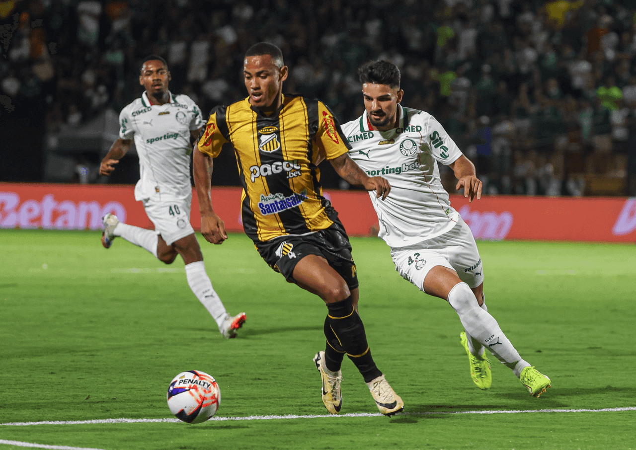 Allan, Patrick e Flaco López em Novorizontino x Palmeiras