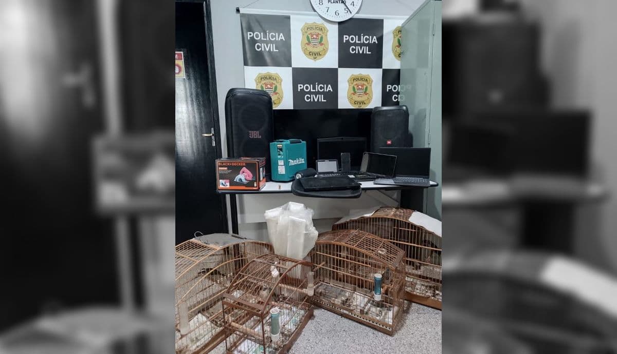 Suspeito é preso após operação da polícia contra furtos na zona oeste de SJCampos