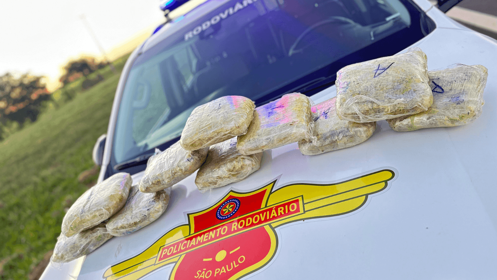 A polícia informou que a droga teve mais de cinco quilos