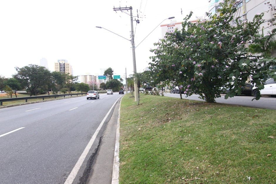 Avenidas de São José dos Campos serão interditadas para corrida de rua