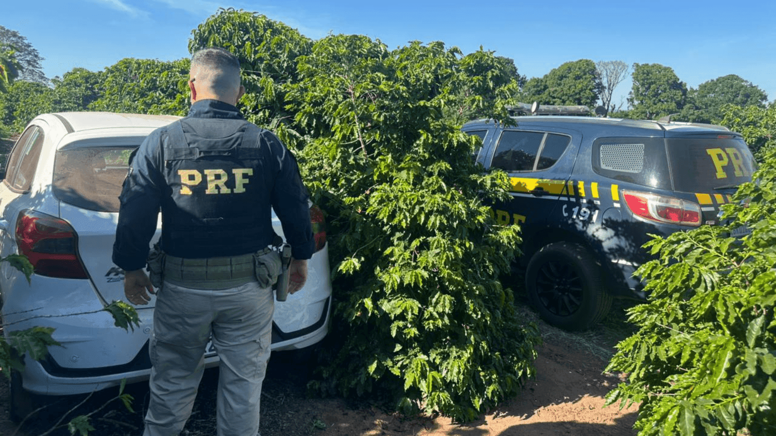 Crime aconteceu na segunda-feira no bairro Alto Cafezal