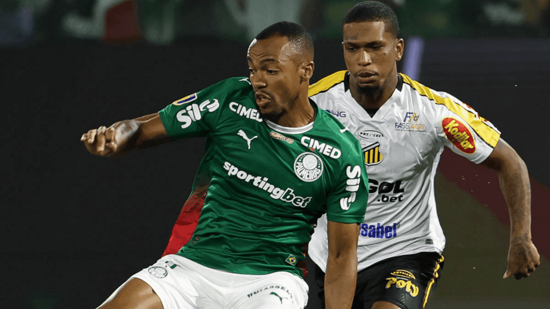 Novorizontino x Palmeiras define campeão paulista 2026