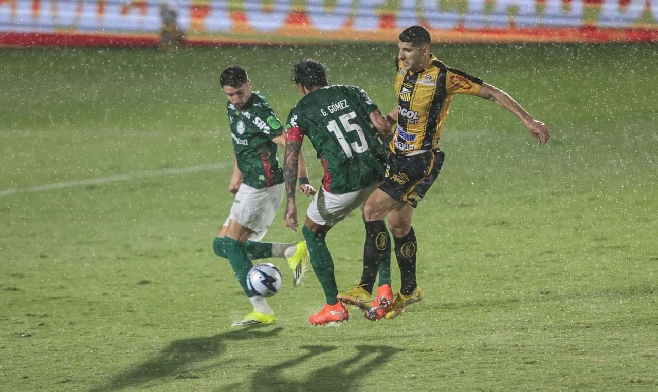 Novorizontino x Palmeiras