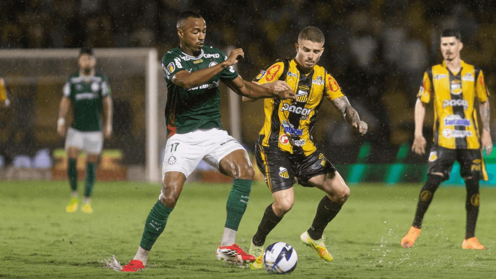 O Tigre voltou a ser superado pelo Verdão na final