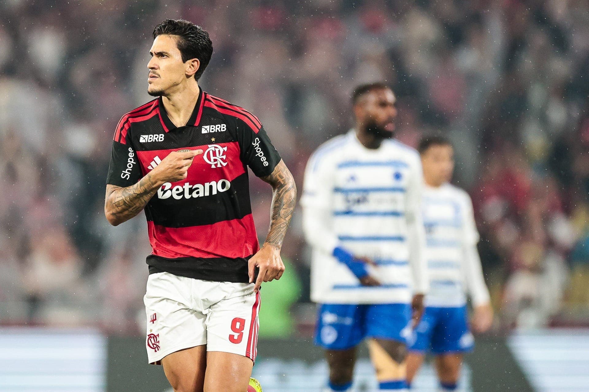 Pedro comemora gol do Flamengo