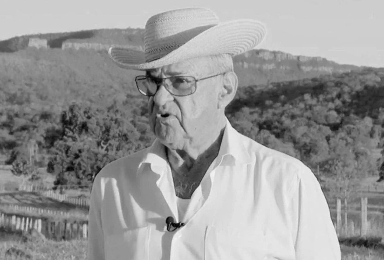 Chico Ventania, pioneiro da raça Nelore no Brasil
