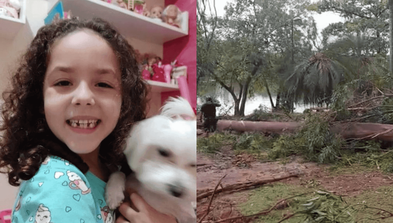 Família fazia piquenique na Lagoa do Taquaral quando árvore caiu e matou criança