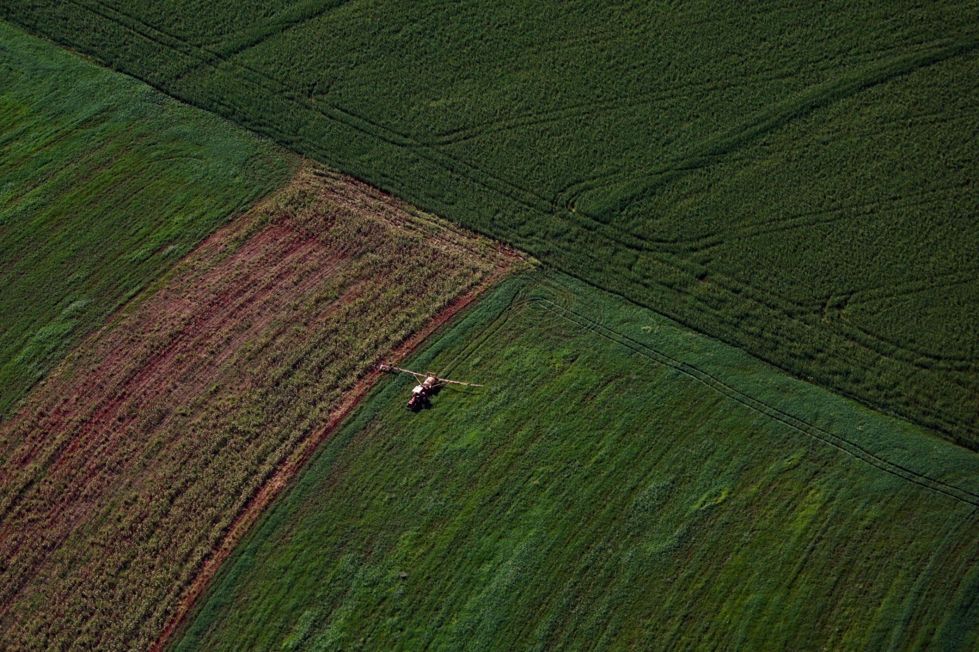Paraná expande produção agropecuária entre 2018 e 2025
