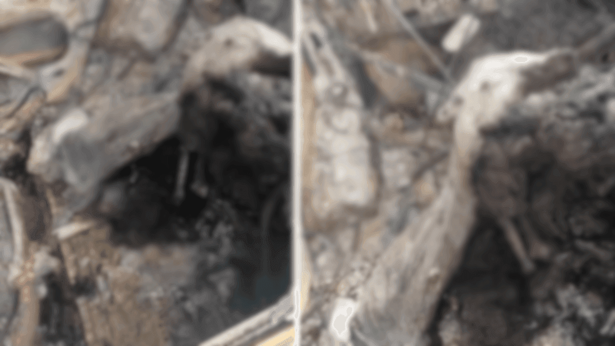 Corpo carbonizado é encontrado dentro de carro em São José dos Campos