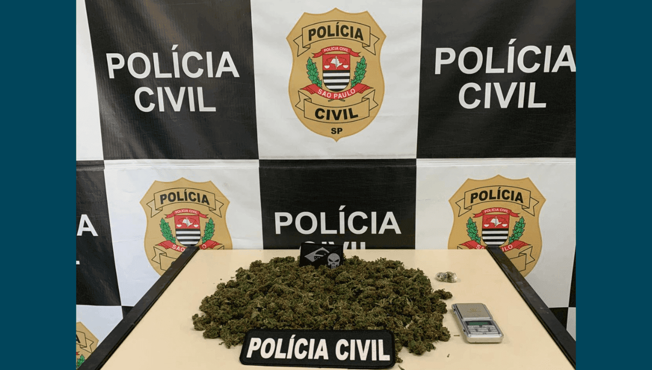Droga apreendida