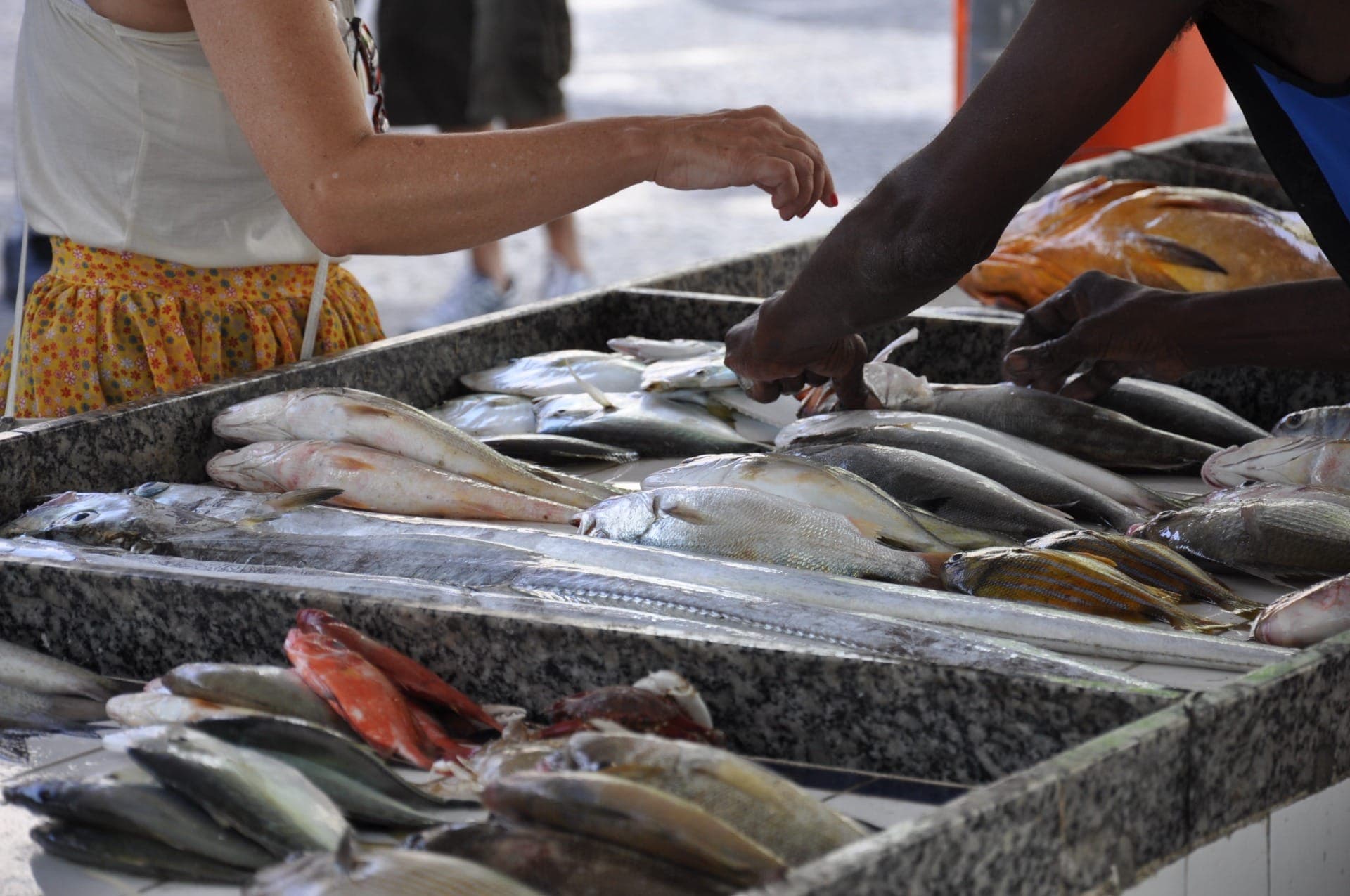 Consumir peixe estragado pode comprometer a saúde