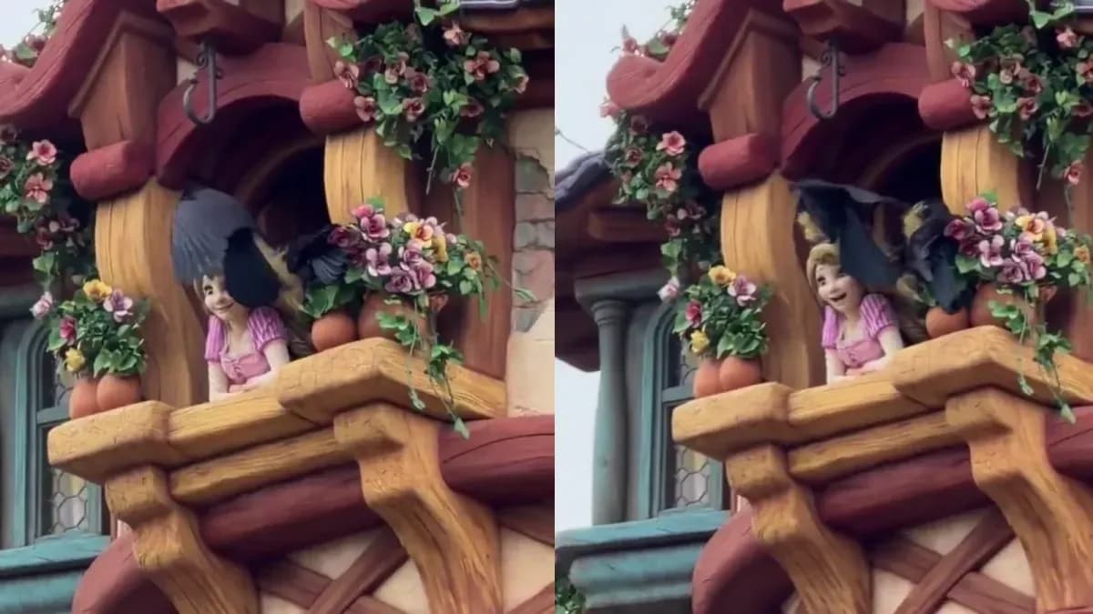 Os visitantes do Tokyo Disney Resort registraram o momento em que corvos estavam comendo o cabelo de um boneco da Rapunzel