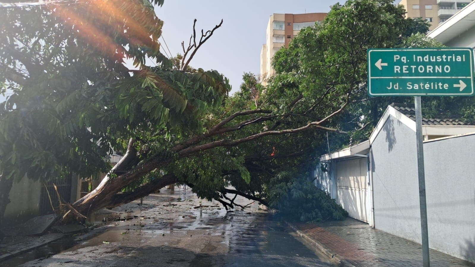 Temporal derruba árvore sobre casa e alaga ruas em São José dos Campos