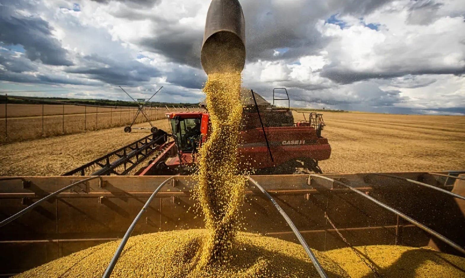 Estimativa em março da safra de 2026 de cereais, leguminosas e oleginosas foi de mais de 348 toneladas, 0,7% maior do que a obtida no ano passado