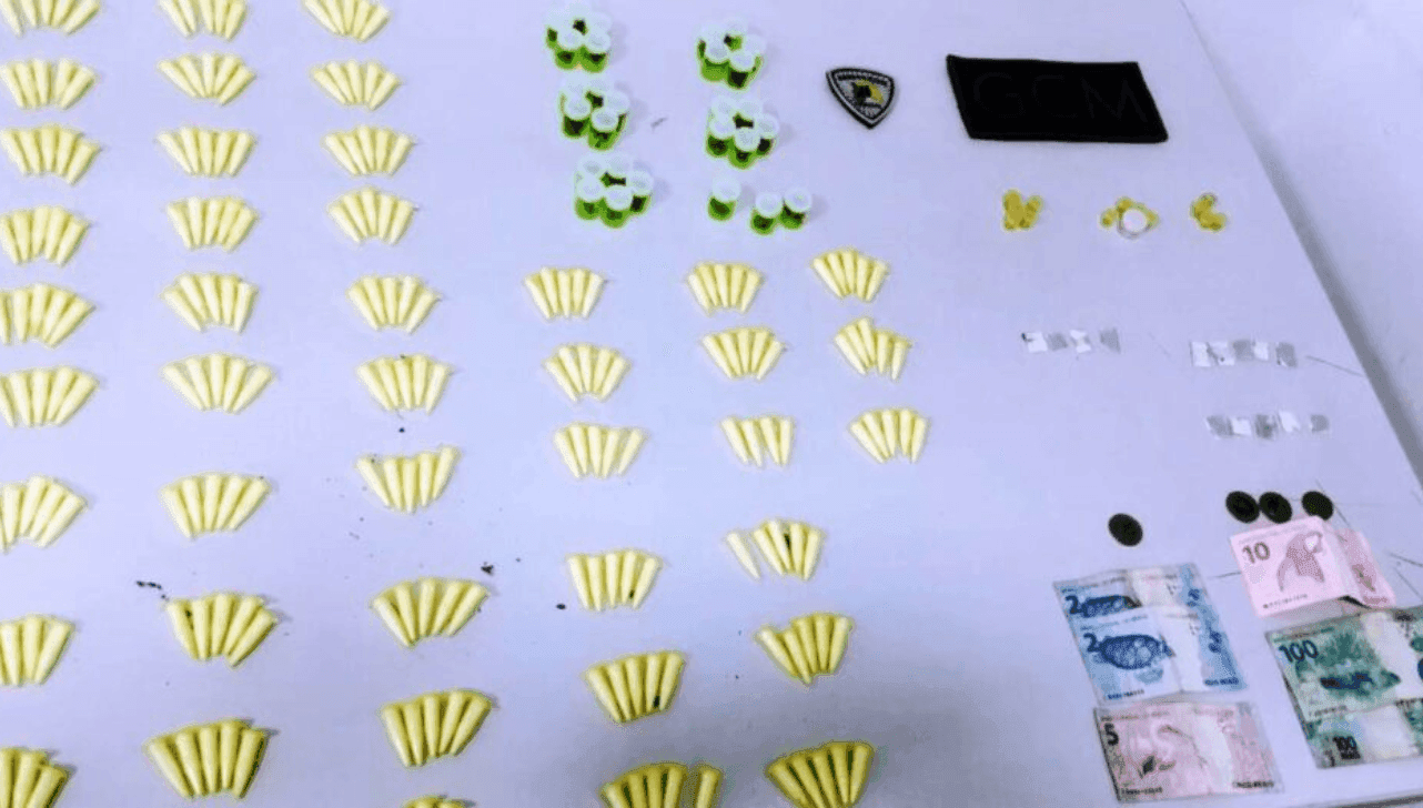 Drogas foram encontradas após suspeito fugir para área de mata