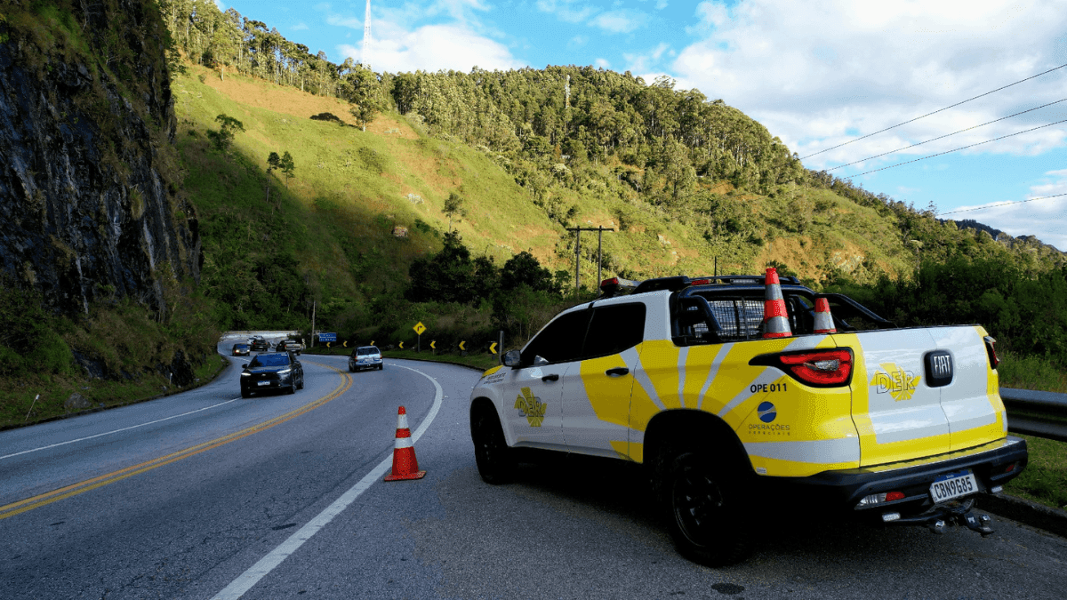 Acidentes com animais em rodovias do Vale caem entre 2024 e 2025