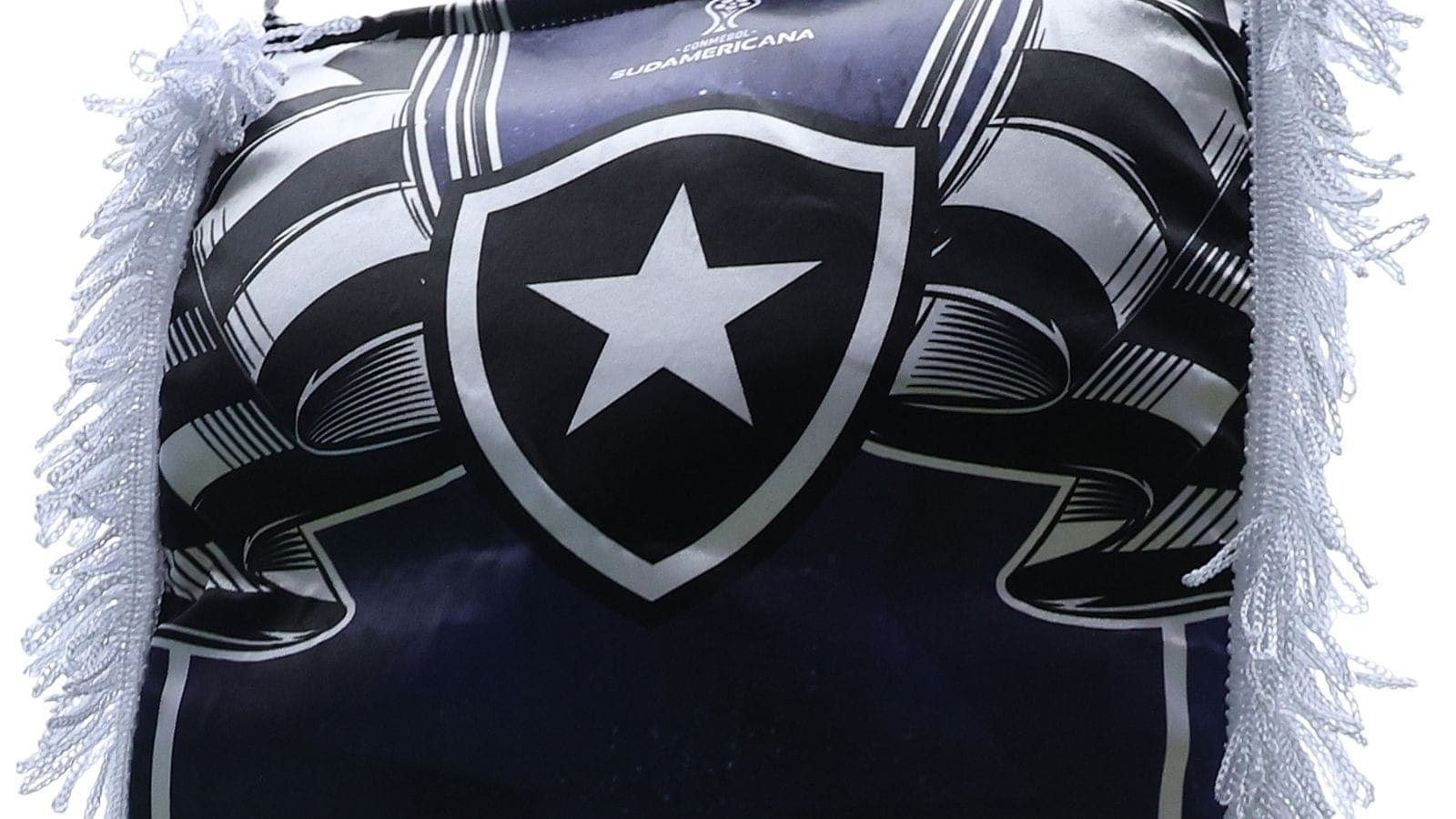 Botafogo enfrenta grave crise política