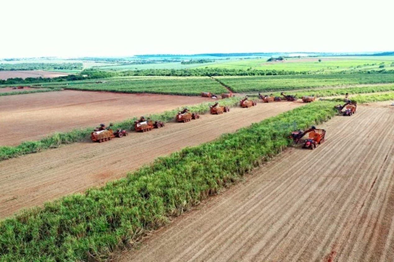 Área plantada e produtividade aumentam em Minas gerais