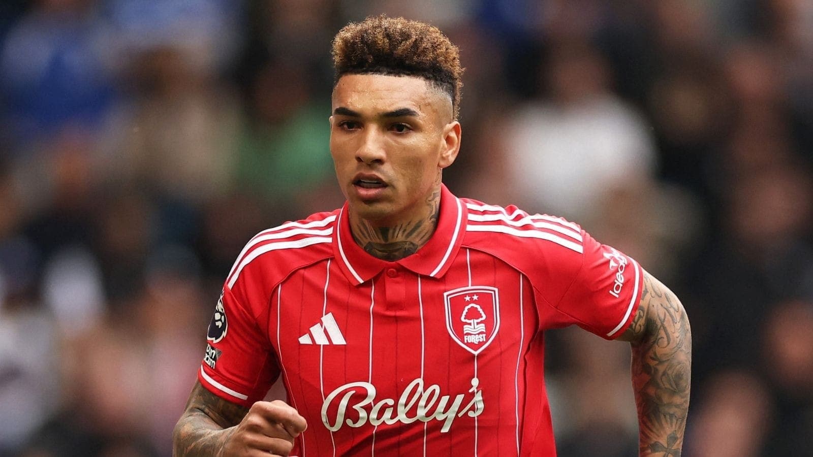 Igor Jesus comemora gol do Nottingham Forest contra o Chelsea