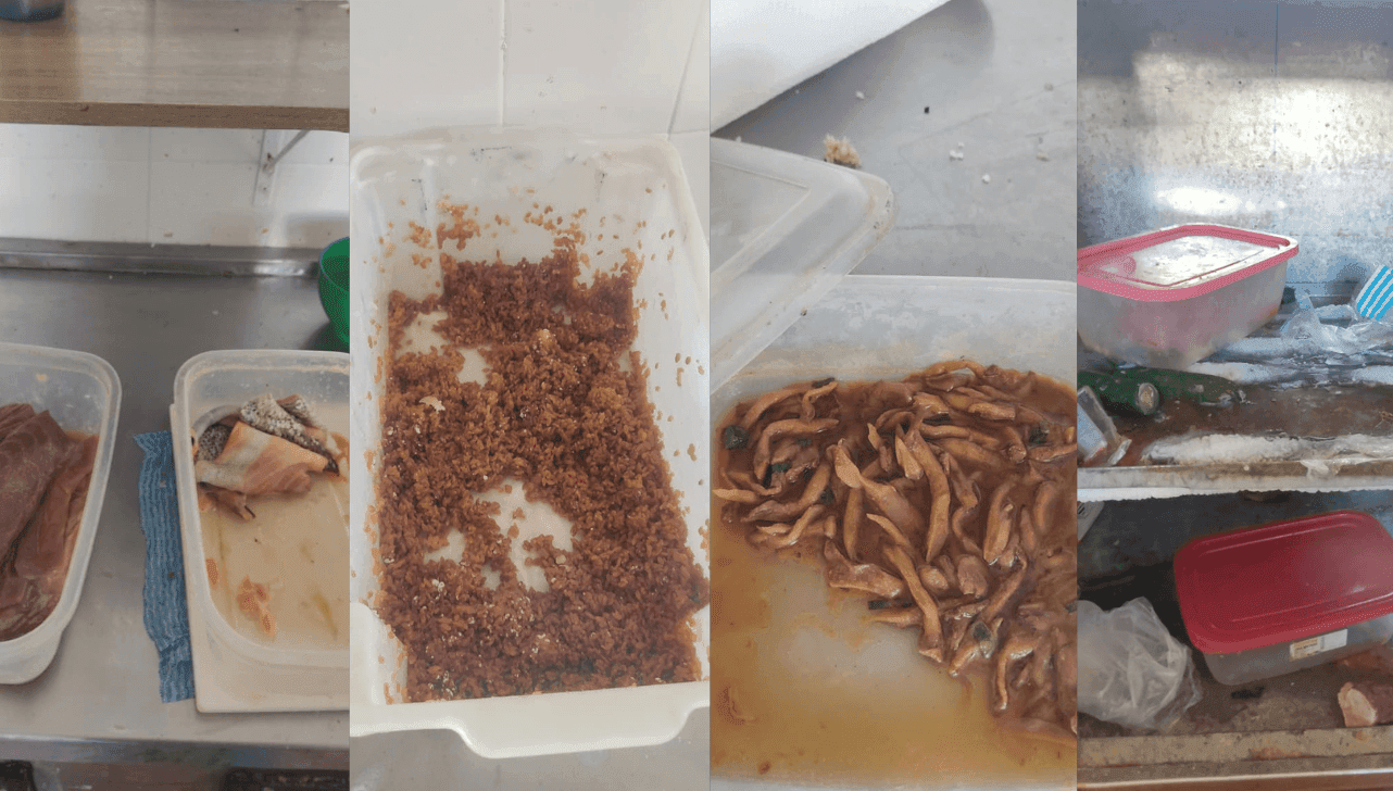 Os alimentos estavam impróprios para o consumo