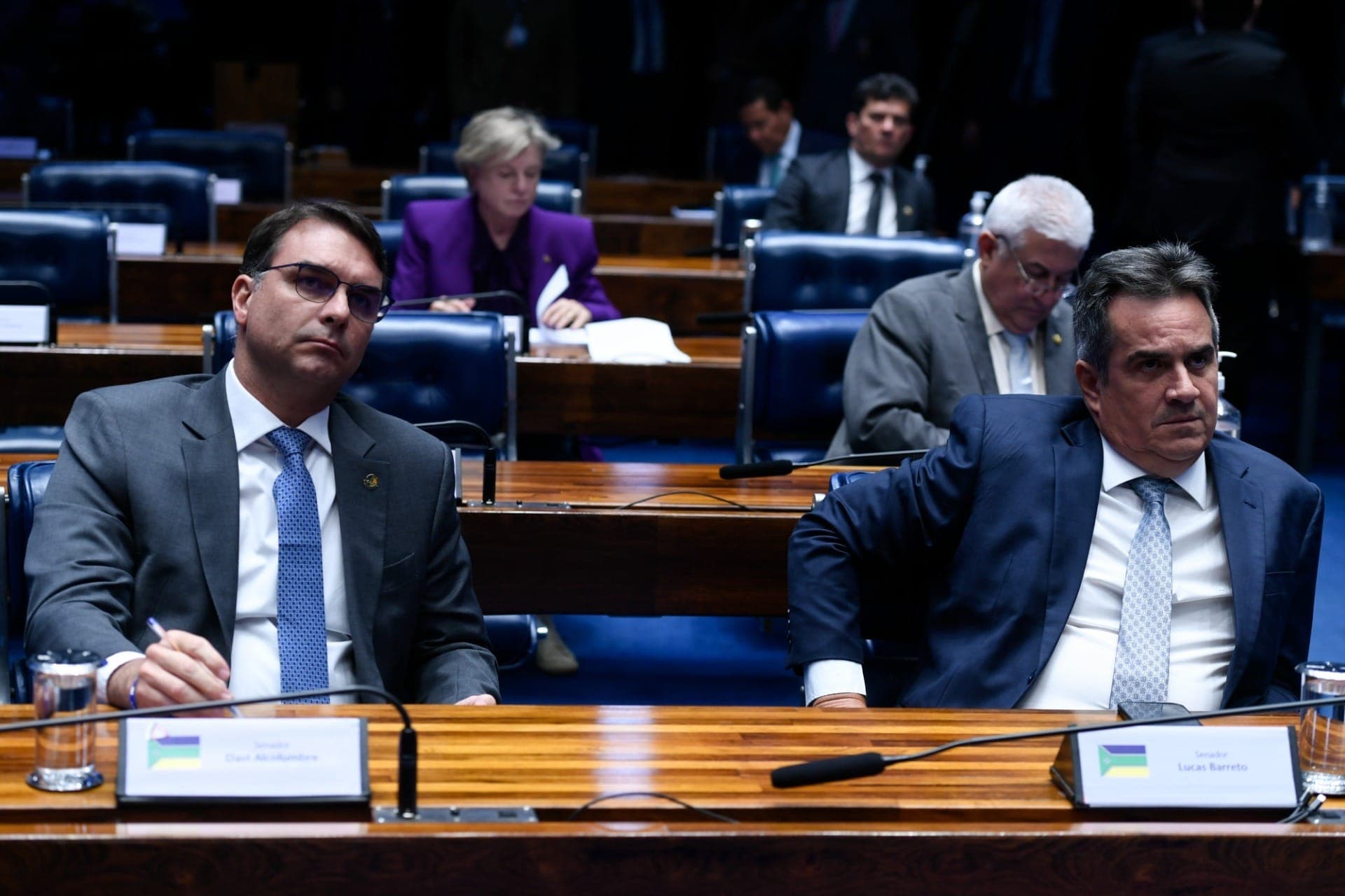 Senadores Flávio Bolsonaro (PL-RJ) e Ciro Nogueira (PP-PI)