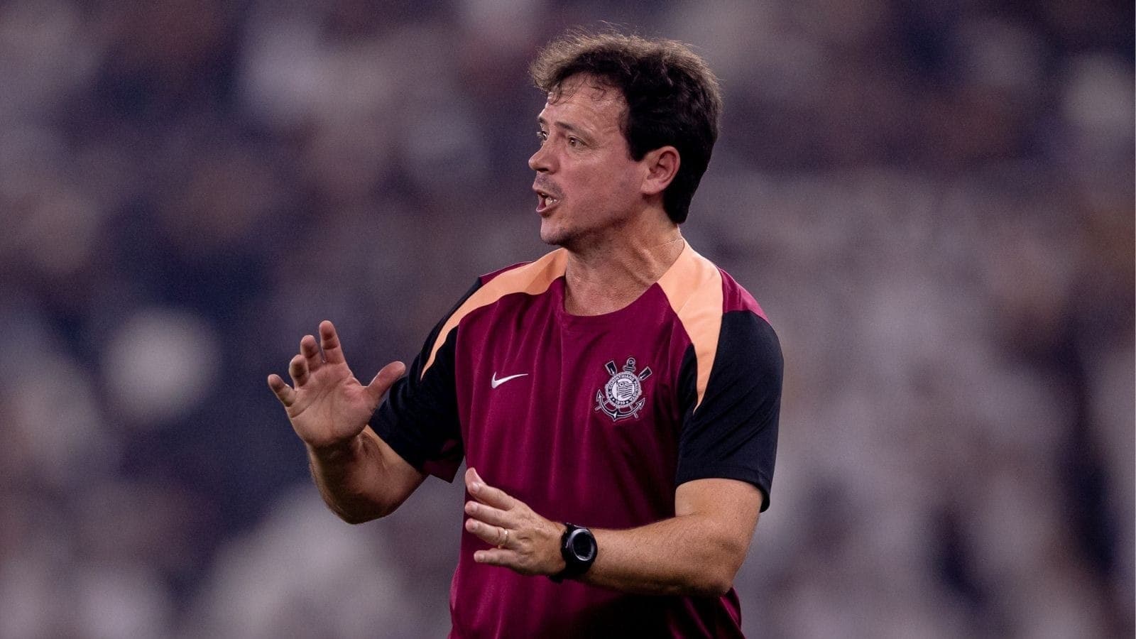 Fernando Diniz, técnico do Corinthians
