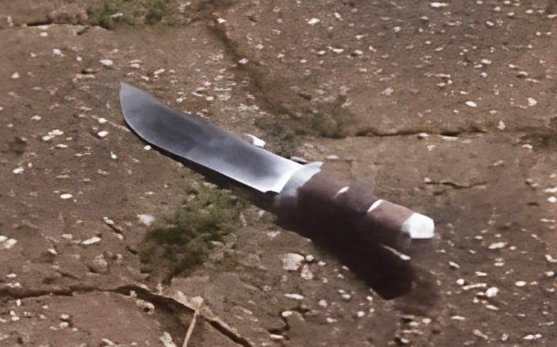 A faca usada no crime foi apreendida pelos policiais