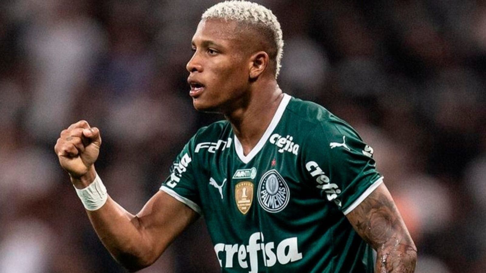 Danilo foi bicampeão da Libertadores com o Palmeiras