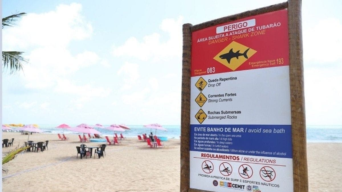 Placa com alerta para ataque de tubarão em Pernambuco