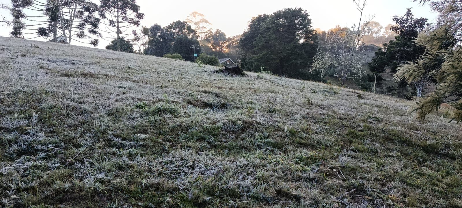 Campos do Jordão registra geada