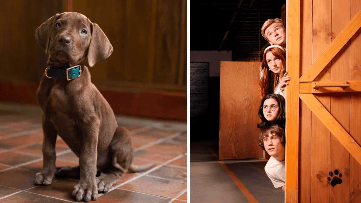 Netflix revela primeiro visual de Scooby-Doo em nova série live-action